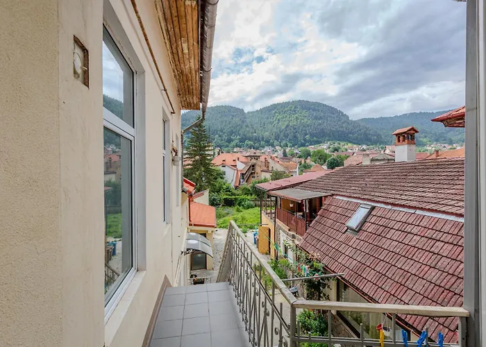 Vibe Brasov