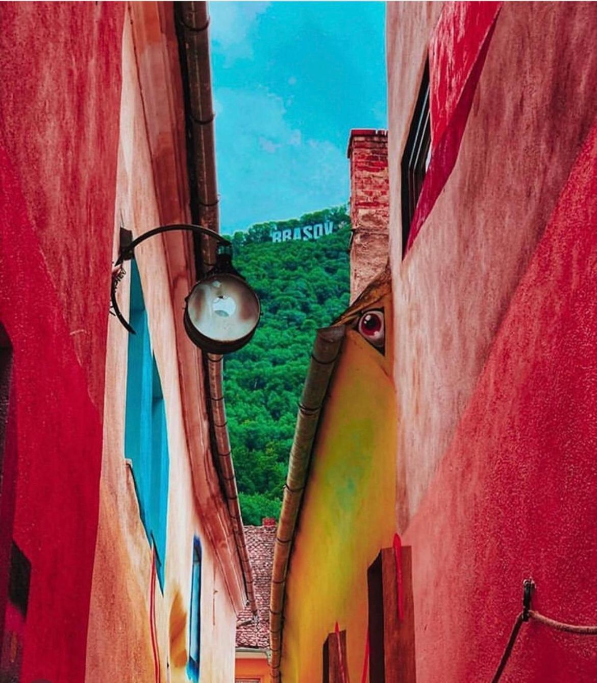 Vibe Brașov